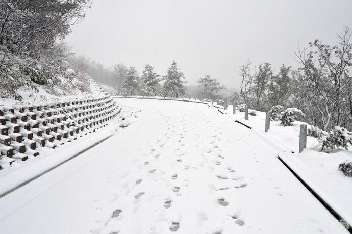 梦见下雪：预示着什么？