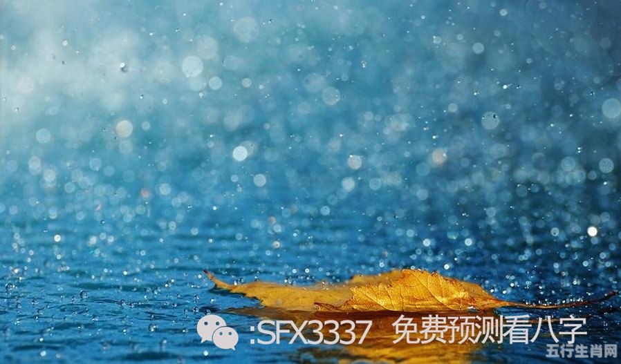 梦见狂风暴雨，是心灵的洗礼还是不安的预警？